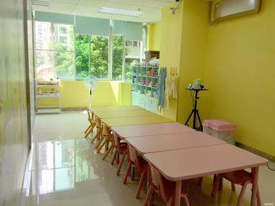 廣州童檸樹教育 專業(yè)信息咨詢，點(diǎn)亮成長(zhǎng)之路